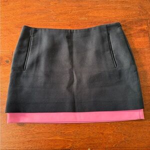 Elegant Navy and Pink Women's Skirt